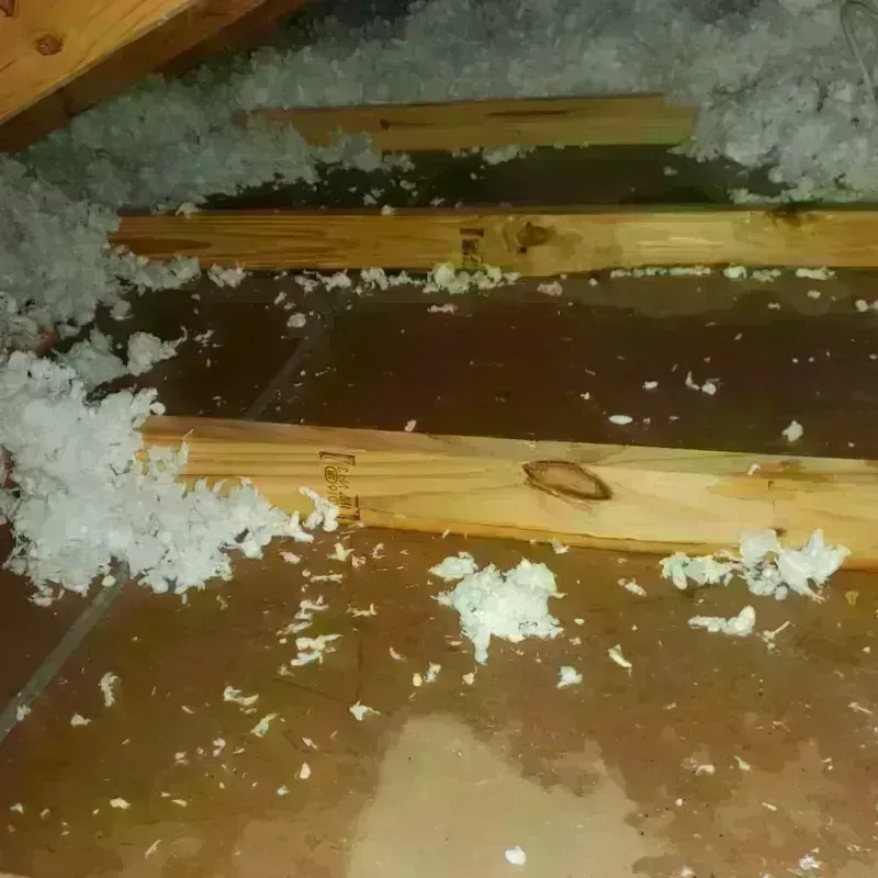 Attic Water Damage in Kirkland, IL