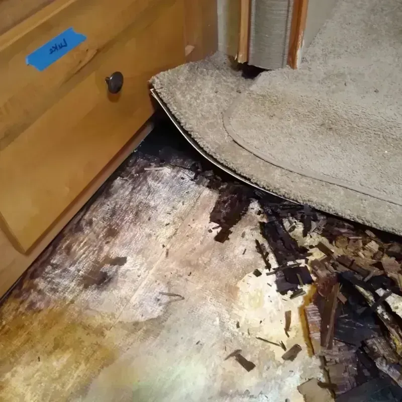 Wood Floor Water Damage in Kirkland, IL